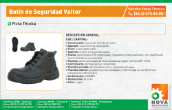 Ficha Tecnica Botin Valtor