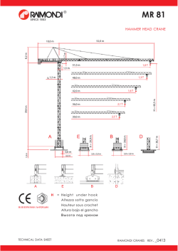 HAMMER HEAD CRANE