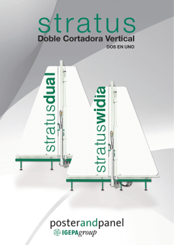Doble Cortadora Vertical