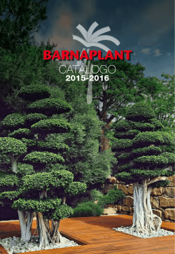 BARNAPLANT - Arribas Center, SL