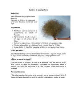 Extracto de piqui pichana Materiales 1 kilo de ramas de