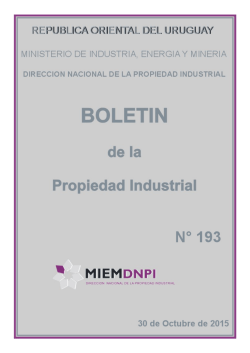 Bolet&iacute;n de la Propiedad Industrial N&deg; 193