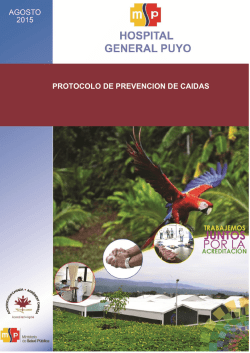 PROTOCOLO DE PREVENCION DE CAIDAS