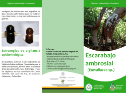 en PDF - cesaveq