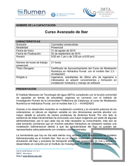 Curso Avanzado de Iber - Instituto Mexicano de Tecnolog&iacute;a del Agua