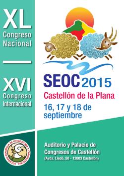Programa SEOC 2015 Castell&oacute;n