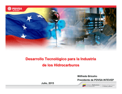 Desarrollo Tecnol&oacute;gico para la Industria de los Hidrocarburos