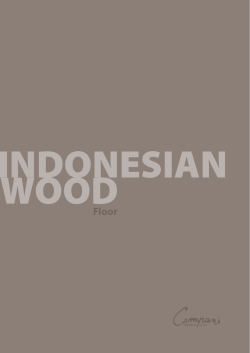 Floor - Ceramica Campani