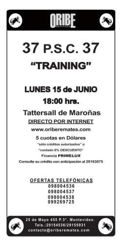 Descargue el cat&aacute;logo completo del remate