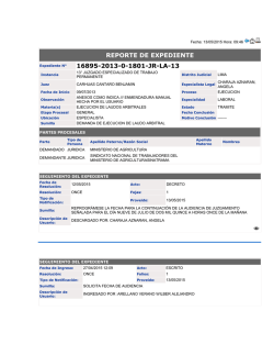 reporte de expediente 16895-2013-0-1801-jr-la-13