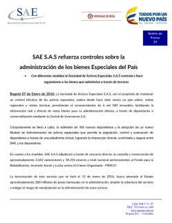 SAE S.A.S refuerza controles sobre la administraci&oacute;n de los bienes