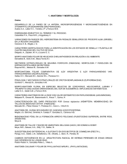 1. ANATOMIA Y MORFOLOG&Iacute;A - Sociedad Argentina de Bot&aacute;nica