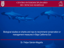 Dr. Felipe Galv&aacute;n-Maga&ntilde;a Biological studies on sharks and rays to