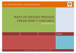mapa de riesgos proceso financiero y contable