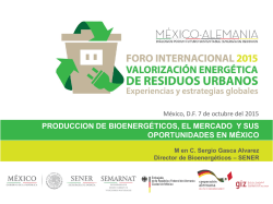 Posibles detonadores para la producci&oacute;n de bioenerg&eacute;ticos.