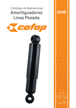 Amortiguadores L&iacute;nea Pesada