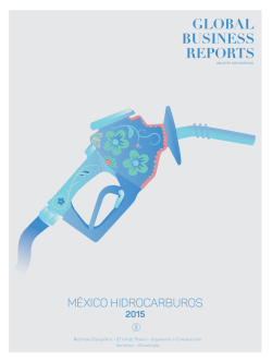 M&Eacute;XICO HIDROCARBUROS - Global Business Reports