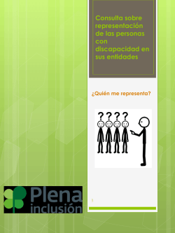 Documento Consulta sobre Representaci&oacute;n