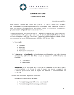 Fundaci&oacute;n R&iacute;o Arronte Convocatoria 2016