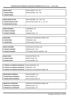 FINALES CACIB Zaragoza 2016