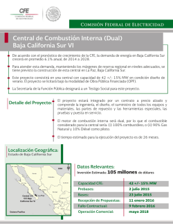 Central de Combusti&oacute;n Interna (Dual) Baja California Sur VI