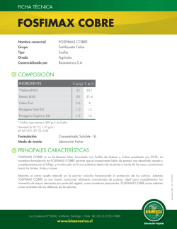 FOSFIMAX COBRE