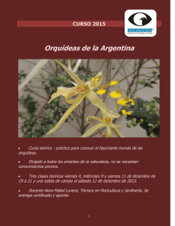 &ldquo;Orqu&iacute;deas de la Argentina&rdquo;. Mi&Atilde;&copy;rcoles 4