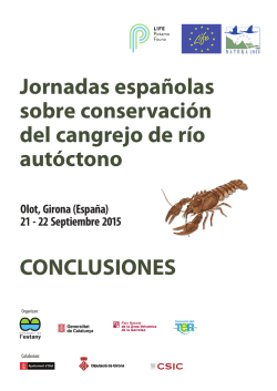 Descargar PDF Conclusiones