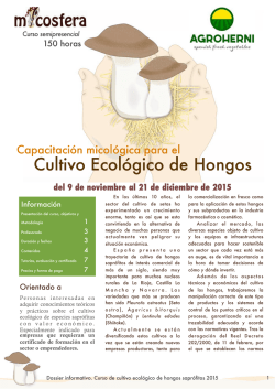 Dossier Curso Cultivo De Hongos Red