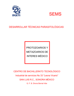 DESARROLLAR TECNICAS PARASITOL&Oacute;GICAS