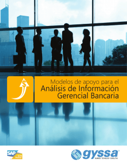 modelos cubos BI banca V0301