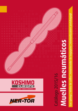 Cat&aacute;logo Muelles Neum&aacute;ticos - Ner-Tor