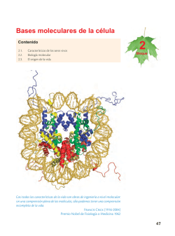 Bases moleculares de la c&eacute;lula - Mendoza