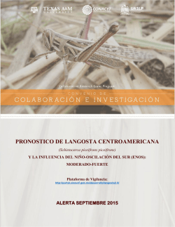 PRONOSTICO DE LANGOSTA CENTROAMERICANA