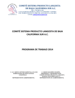 comit&eacute; sistema producto langosta de baja california sur ac programa