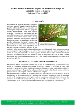 Comit&eacute; Estatal de Sanidad Vegetal del Estado de Hidalgo A.C