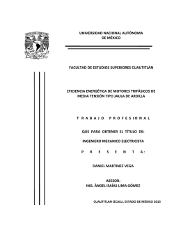 Tesis revision final daniel