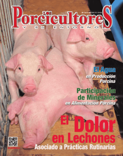 descargar - BM Editores