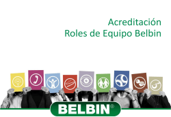 informes Belbin
