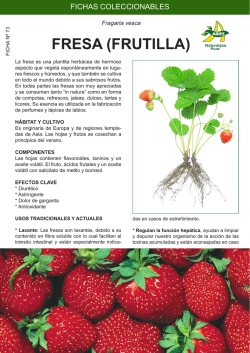 FRESA (FRUTILLA)