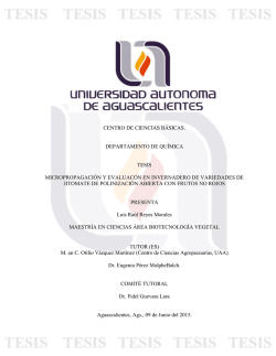 centro de ciencias b&aacute;sicas. departamento de qu&iacute;mica tesis