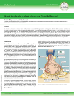 neurofisiologia del aprendisaje