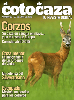 escapada Caza menor silvestrismo