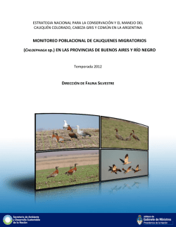 MONITOREO POBLACIONAL DE CAUQUENES MIGRATORIOS
