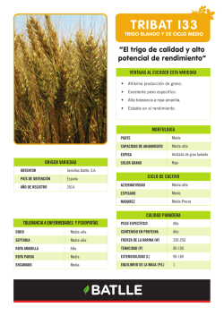 Trigo Blando TRIBAT