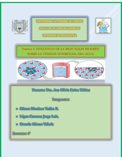 practica 3_ tensionsuperficial