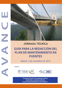 Gu&iacute;a Para la redacci&oacute;n del Plan de ManteniMiento en Puentes