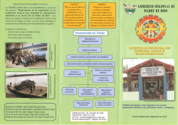 Tr&iacute;pticos - energiayminasmdd.gob.pe