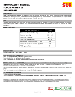 GOLTEX A - Grupo Sur