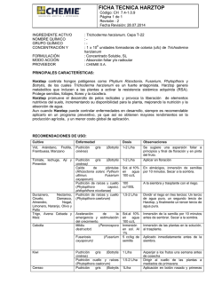 FICHA TECNICA HARZTOP